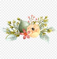 En cuanto al papel para acuarela puedes visitar la entrada de blog dedicada al papel de acuarela y profundizar en el conocimiento de este soporte. Acuarela Pintada A Mano De Dibujos Animados Elegante Watercolor Elegant Flowers Png Image With Transparent Background Toppng