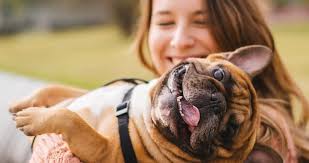 (i've owned all these plus dogs, cats, hamsters, and a rabbit growing up so i know what goes into care for. New Study Finds That Pets Benefit College Students In Impressive Ways Beyond The Treat