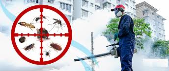 PEST CONTROL SERVICES - pest control, termite proofing, bed bugs ...