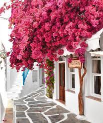 Divine Villages On Instagram The Charm And Atmosphere Of Villages Photographer Momentsofgregory Ju Greek Islands Mykonos Travel And Tourism