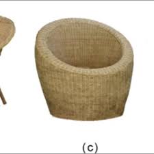 Image result for Eremospatha cuspidata