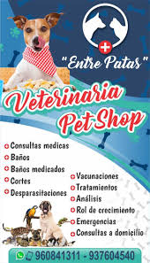 veterinaria pet shop entre patas