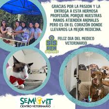 Centro Veterinario Semiovet