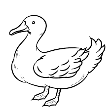 Chord kunci gitar dan lirik lagu hitam putih fotomu ratih purwasih masih ada yang tertinggal tribunstyle com. 7 301 Black And White Duck Cliparts Stock Vector And Royalty Free Black And White Duck Illustrations