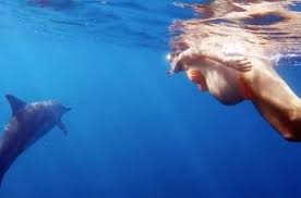 Pregnant Woman To Have Dolphin Assisted Birth In The Ocean So The Baby Can Speak Dolphin Oddity Central Collecting Oddit Pregnant Women Dolphins Pregnant