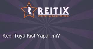 Kedi Tuyu Kist Yapar Mi Reitix Com