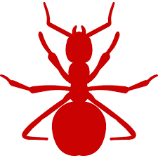 Exterminator, pest control, bug inspection: Rollins Pest Control Inc Lancaster Camden Rock Hill Fort Mill Sc Exterminator