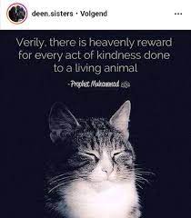 Pin Oleh Nanda Khadija Di Islam Quran Instagram Allah