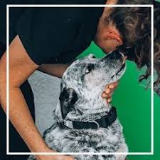 Choose the best profile or price. How Much Does Pet Sitting And Dog Walking Cost In New Orleans Courtney S Pet Care Professionals Blog