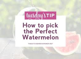 It shows that the melon received adequate sun and water while on the vine. How To Pick A Perfect Watermelon