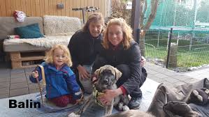 ***** * wo befindet sich der hund im moment: Unsere Gluckspilze Zuhause Gefunden Hund Sucht Mensch Hund Tiervermittlung Tiere Suchen Ein Zuhause Tier Aus Dem Ausland