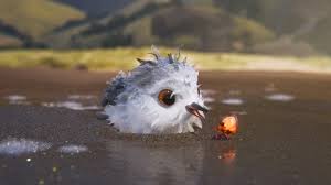 Image result for Piper