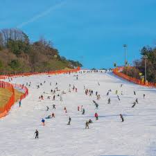 Untungnya siapa sekarang ini yang berkesempatan pergi ke korea selatan. Itinerary 9d Tur Liburan Musim Dingin Korea Main Ski Blog Antavaya