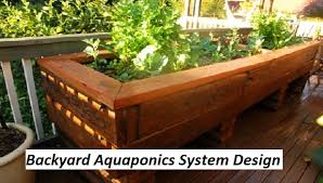 We haven't had much rain at all since july and it's a real pleasure to visit the aquaponics garden. Ten Guidelines For Aquaponic Systems Aquaponic