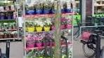 🌹🌻🌸TUIN MARKT🌸🌻🌹 💐Vandaag en morgen is er Tuinmarkt ... - Facebook