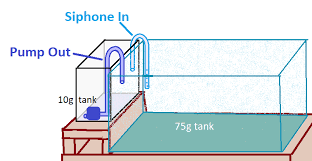 Check out sump filters on ebay. Diy Filter Idea Looking For Critiques Reef2reef Saltwater And Reef Aquarium Forum