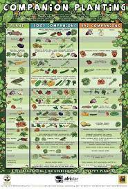 Square foot gardening is an easy option for beginners. Vegetable Garden Layout 7 Best Design Secrets A Piece Of Rainbow