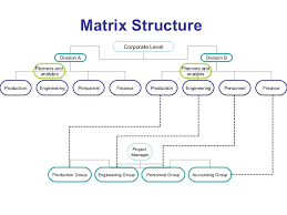 simple organizational structure margarethaydon com