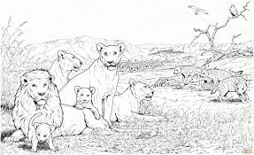 Children love to know how and why things wor. Get This Lion Coloring Pages Free Printable 09636