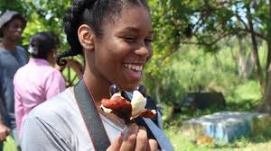 Fundraiser by Edward Baptist : 2017 Cornell in Jamaica