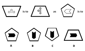 It's used by employers to measure how you make decisions, how quickly you learn, and how you can adapt to different roles and situations. How To Ace The Pi Cognitive Assessment