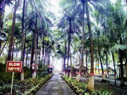 Tmkoc team calls it as rang tarang resort but it's not true. Sagar Tarang Beach Resort Alibaug Maharashtra Hotel Reviews Photos Tripadvisor