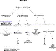 pancytopenia mechanisms and potential causes eclinpath