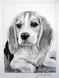 Beagle Puppy By Sarah Holloway Beagle Art Dog Drawing Dog Art
