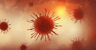 We did not find results for: Did God Send The Coronavirus As A Biblical Plague From Revelation