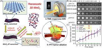 The as prepared nanopowder was used for further characterization. Manganese Oxide Nanoparticles As Mri Contrast Agents In Tumor Multimod Ijn
