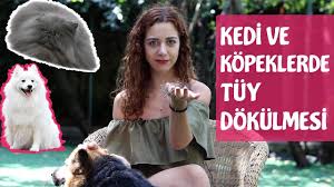 Kedi Ve Kopeklerde Tuy Dokulmesi Youtube