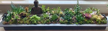 You don't need to worry about where to grow your garden, succulents could literally fir anywhere. My Indoor Succulent Garden Succulents