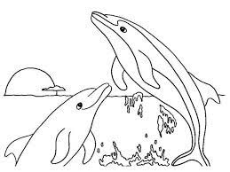 Dolphins Rising While Sunset Coloring Page Kids Play Color Dolphin Coloring Pages Coloring Pages Coloring Pages For Kids