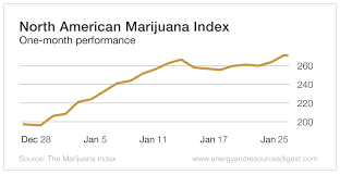 Profit Trends