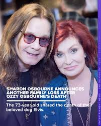 Sharon shared her heartbreak, writing, "I can't believe I am posting this  but my darling Elvis passed away this week. He gave me 14 precious years.  He was by my side until