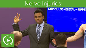 Median nerve entrapment by the ligament of struthers manifests clinically as unexplained persistent forearm pain caused by compression of the median nerve by an aberrant ligament that runs from a median nerve injury can occur at the brachial plexus, upper arm, elbow, forearm, or wrist. Nerve Injuries Median Nerve Mrcs Lecturio Youtube
