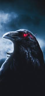 Eagle With Red Eyes Cool Drawings Wallpaper Red Eyes Are you searching for eagle eyes png images or vector? eagle with red eyes cool drawings