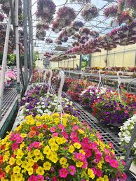 Special Surprise! All...