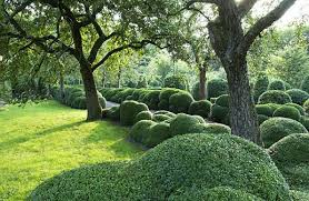 Lijkt Me Een Heel Onderhoud Maar Ik Zou Wel En Poging Willen Wagen Om Dit Thuis Te Proberen In Het Klein Da Garden Hedges Garden Inspiration Landscape Design