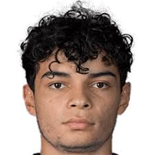 Damian German FM 2021 Profile, Reviews