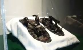 Tempat wisata di probolinggo memang tidak ada habisnya, banyak objek wisata baru yang indah mulai dari destinsasi alam hingga buatan yang tempat wisata di probolinggo memang banyak dan beragam. Pasca Launching Museum Rasulullah Saw Di Kota Probolinggo Diserbu Pengunjung Bangsa Online Cepat Lugas Dan Akurat