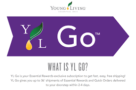 Explaining Yl Go Young Livings New Express Shipping