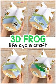 A good book you can read is the. 3d Frog Life Cycle Craft Easy Peasy And Fun