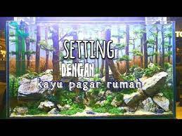 Setting Aquascape Diorama Tema Pohon Pinus Dengan Kayu Pagar Youtube Aquascaping Pohon