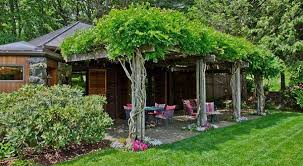 10 Climbing Plants For Pergola Dreamlike Seating Arrangements In The Garden Outdoor Pergola Pergola Patio Pergola Plans