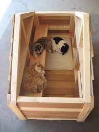 Outdoor Cat Houses Insulated Outdoor Pet House With Platform Outdoor Cat House Outdoor Cat Shelter Cat House Diy