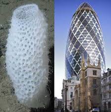 A Hexagonal Skin Inspired By The Venus Flower Basket Sponge Norman Foster S Gherkin Tower Tower Architecture Leaning Tower Of Pisa