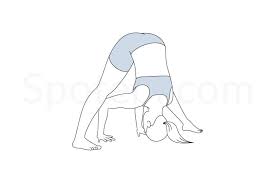 Wide Legged Forward Bend Pose Prasarita Padottanasana Workout Guide Poses Headstand Yoga