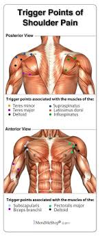 Maybe you would like to learn more about one of these? Pin On General