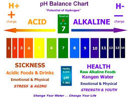 Get Your Ph Balance Right Part 1 How Is Ph Balance